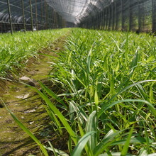 陜西玻璃_陜西鋼化玻璃_西安鋼化玻璃_西安