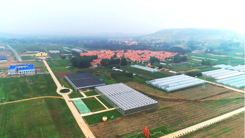 擬投資5.1億元 又一大項目落戶臨朐,位置在